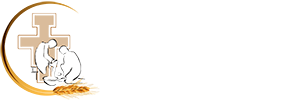 Suore Francescane logo
